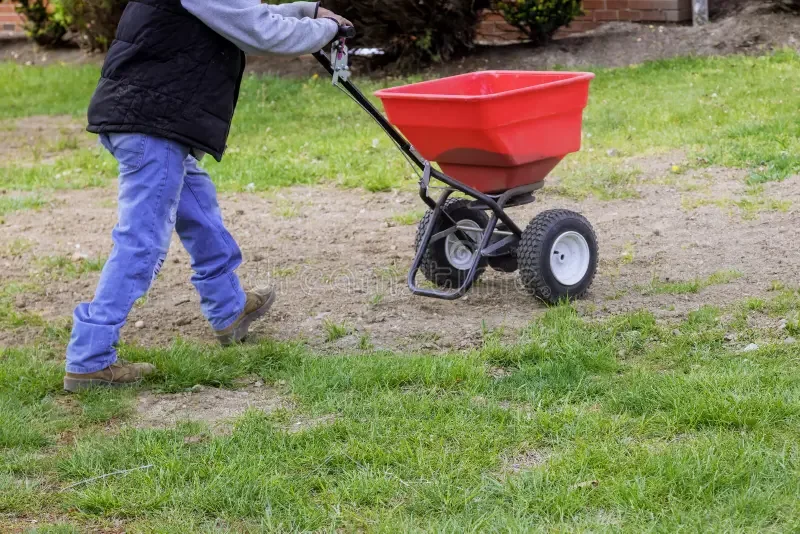 garden-worker-residential-backyard-sowing-lawn-grass-seeds-drop-lawn-spreader-garden-worker-sowing-lawn-217507810.webp