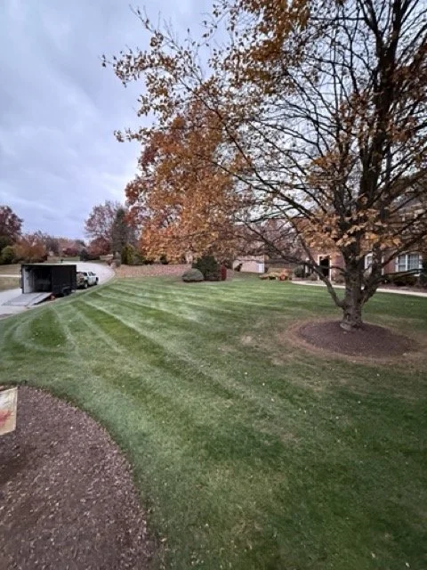 Spring Lawn Prep Checklist for Murrysville Lawns