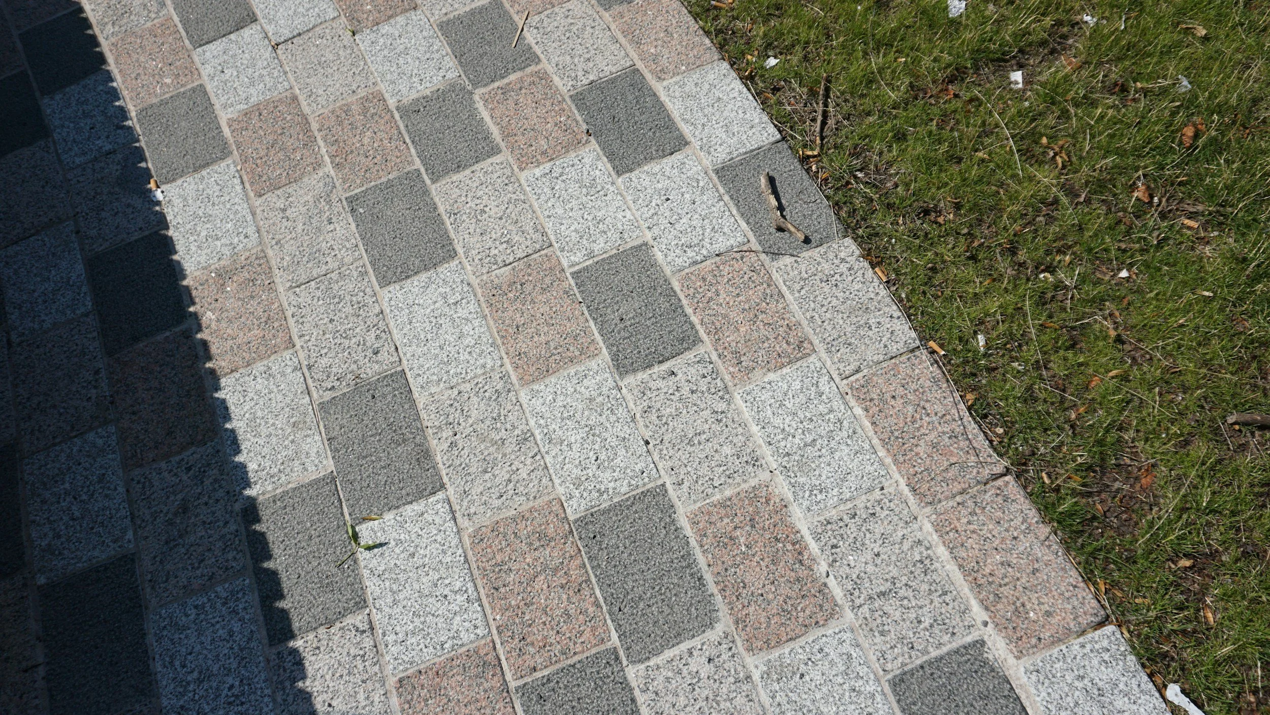 A close-up view of paved sidewalk bricks adjacent to a grassy area, with some debris and twigs scattered on and around the bricks.