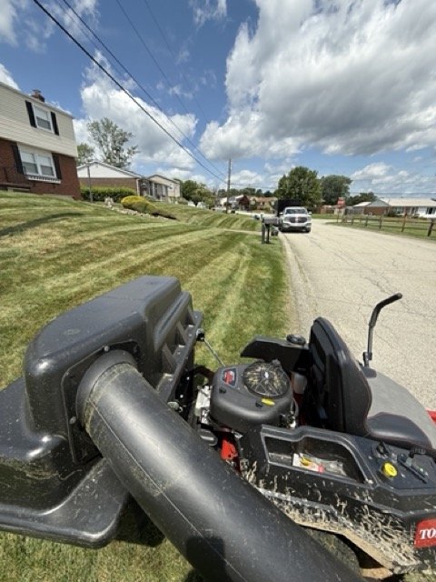 IMG_3691 Medium.jpeg