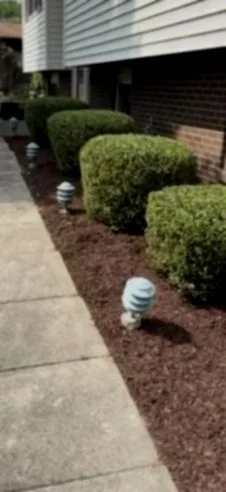Well-maintained shrubbery along a sidewalk with small garden lights