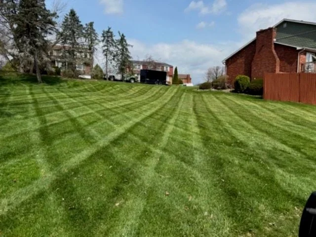 A well-manicured grassy backyard with striped lawn, trees, and neighboring houses, one with a brick exterior and a shed in the background.
