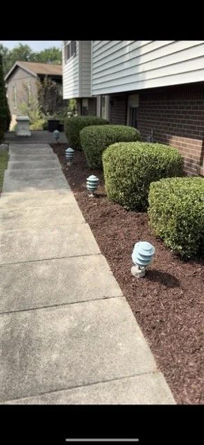 IMG_4295-min Medium.jpeg