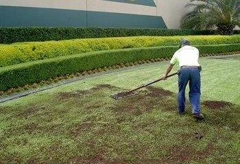 topsoil.jpg