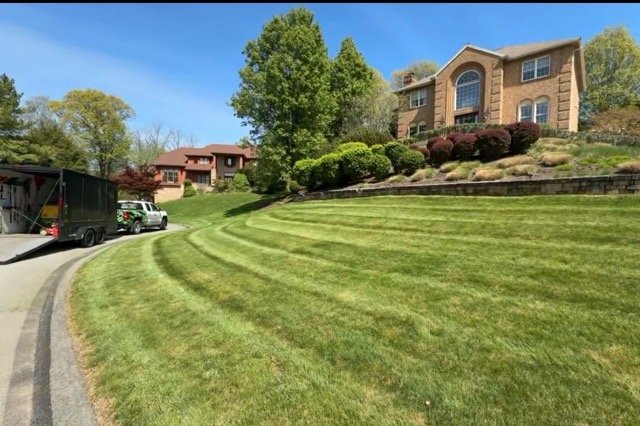 A well-manicured green lawn slopes upward toward large residential houses on a sunny day, with trees and bushes surrounding the area.