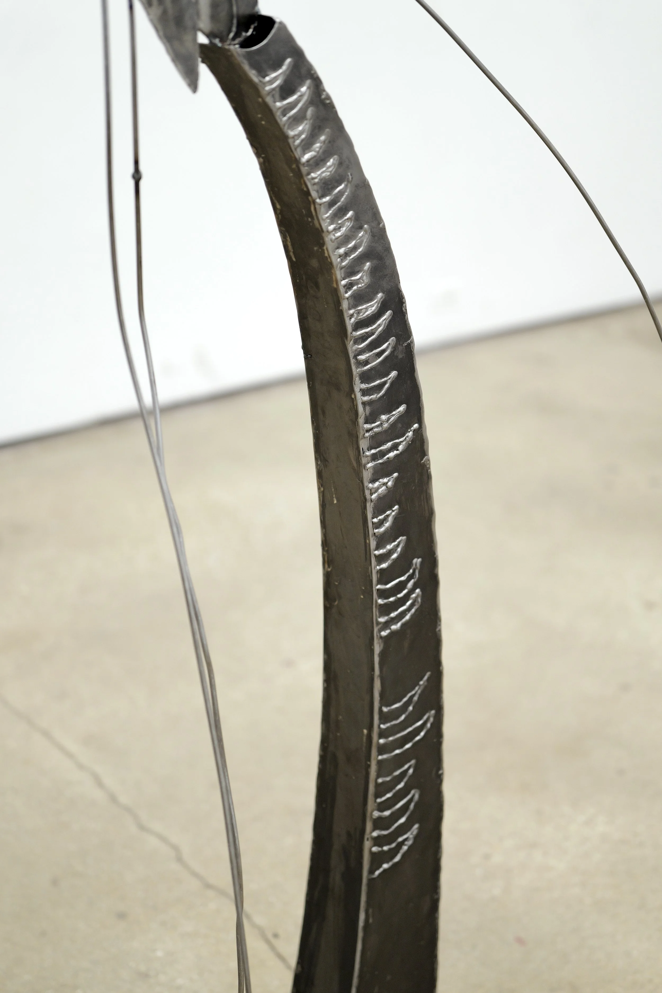 L1040853.jpg