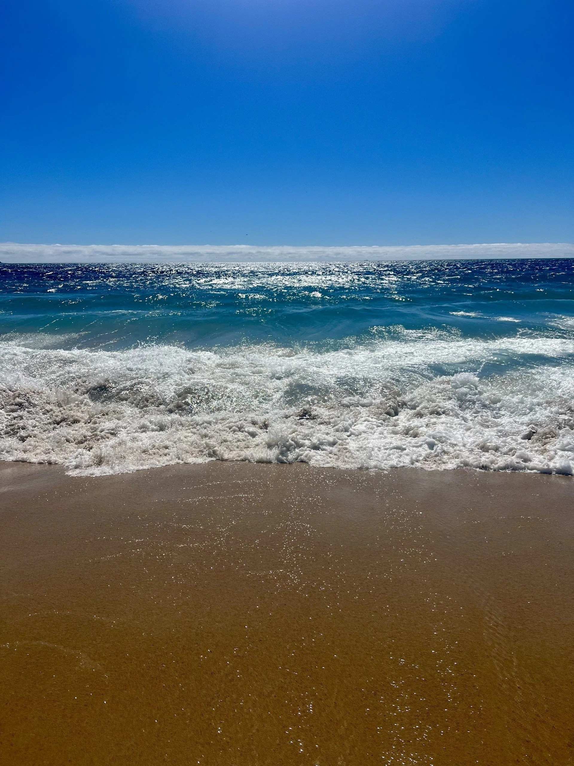 Coastlines, Chaos, and Cold Toes: My Chilean Adventure