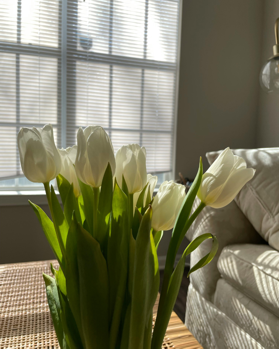 How Longer Days and More Sunlight Can Help The Anxious Girlies