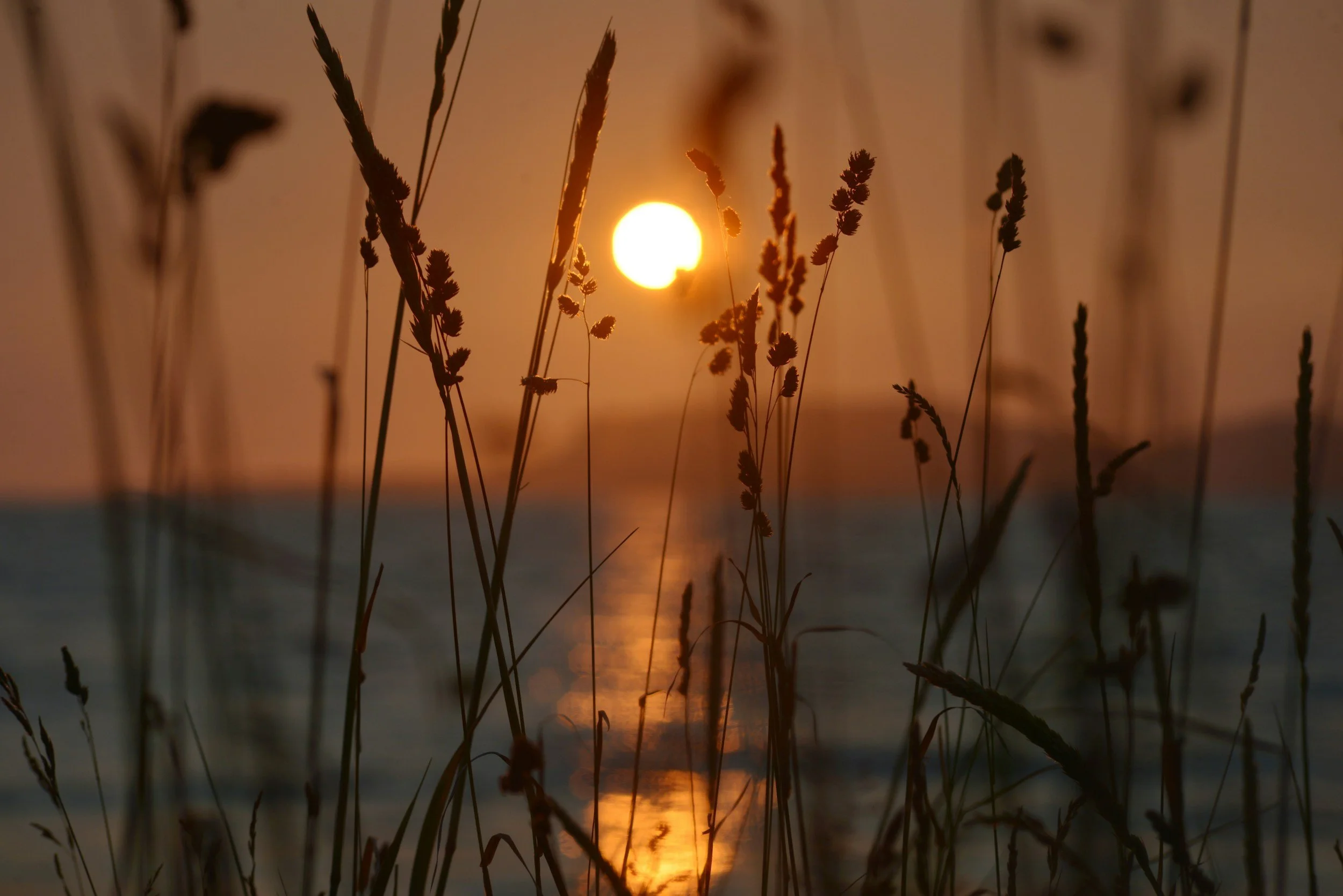 Bye-Bye, Summer!