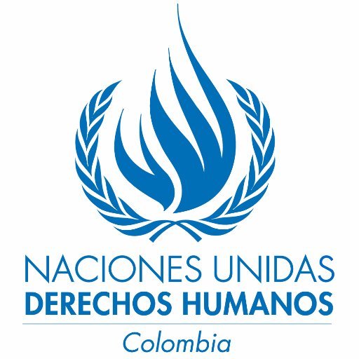 LOGO ONUDDHH.jpg
