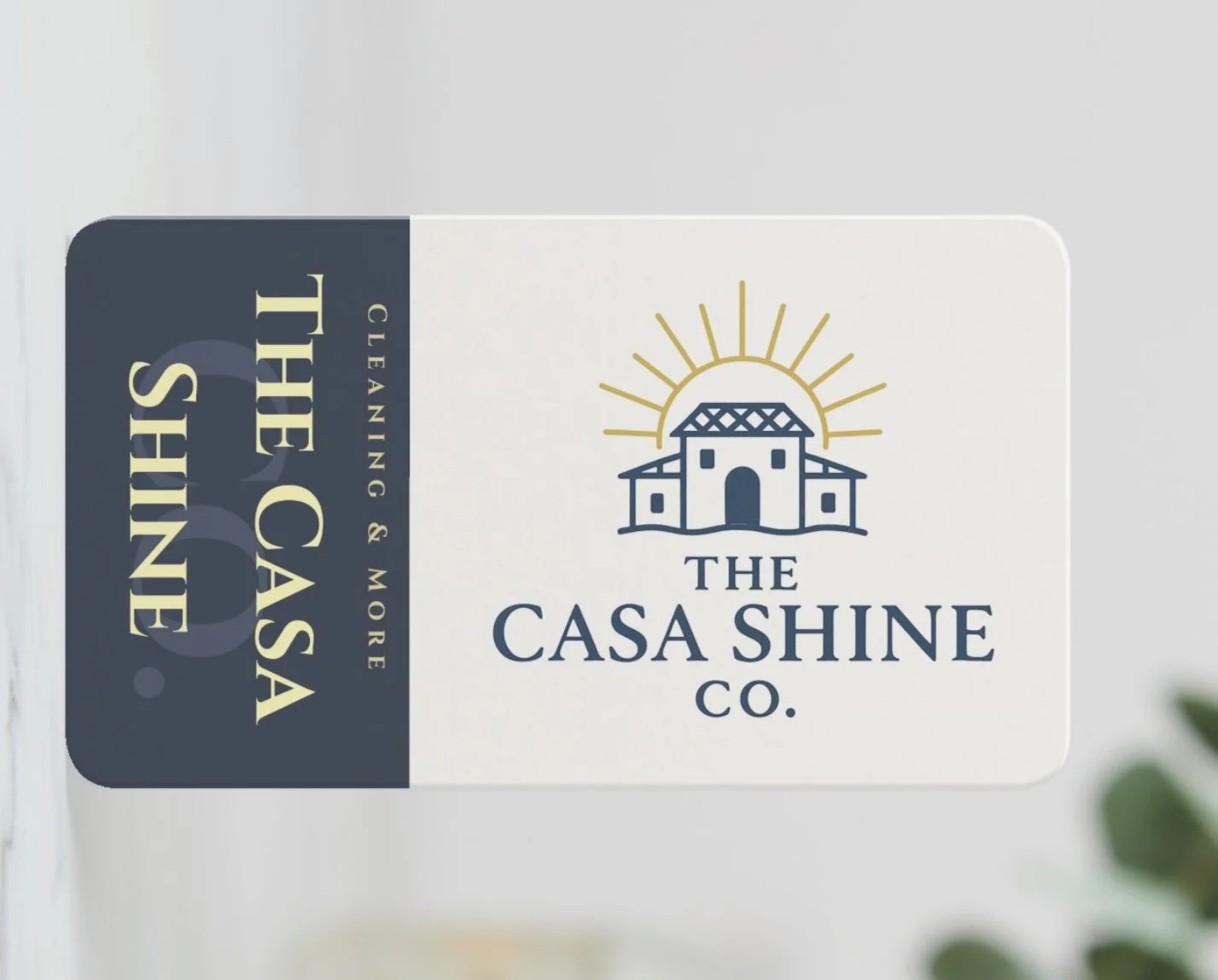 The Casa Shine Co.