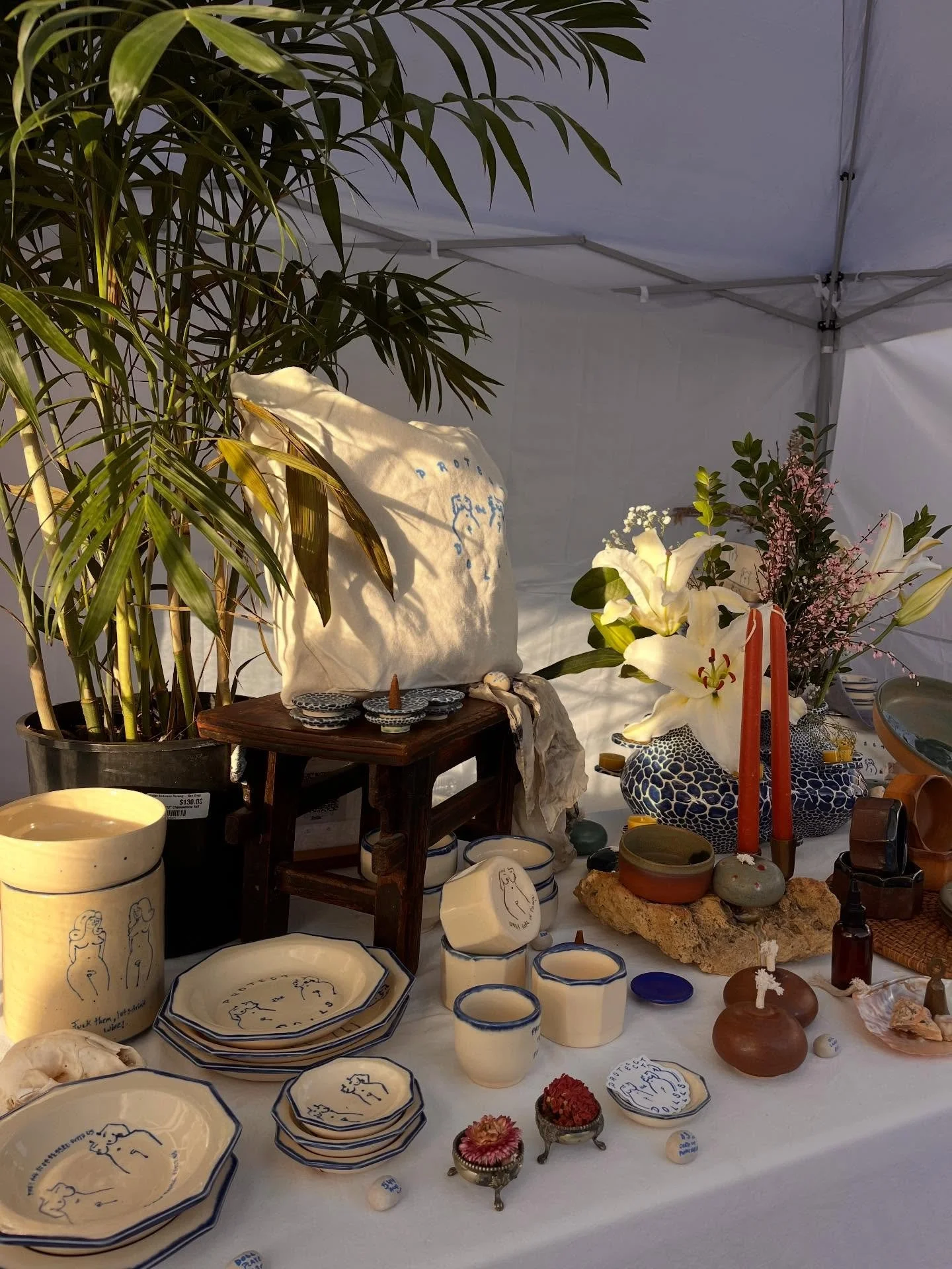 Thank you so much for the in-person response I have received to my new line! Drawing nude trans women on my new dinnerware was so nerve-wrecking because I was not sure how people would take it. At the end I did it anyways because:
1 I really wanted t