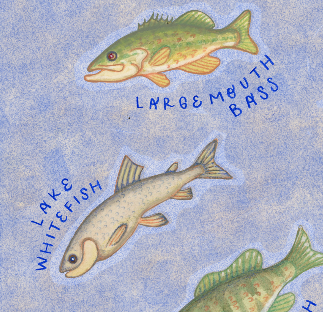 Screen Shot 2025-10-15 at 6.24.21 PM.png