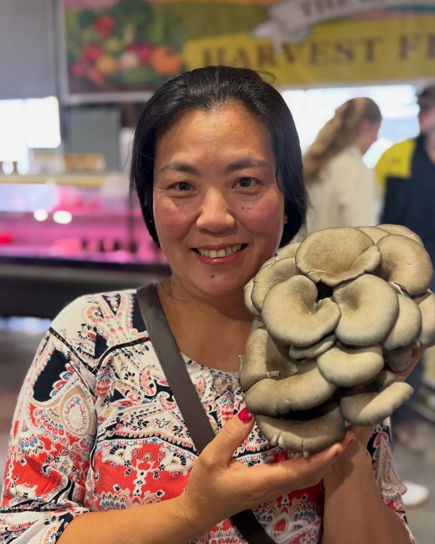 What a picture! 🍄&zwj;🟫 @tenthousandharvests both pretty AND delicious head down to the @growershubau 

Open 6 days a week!
Monday to Friday 9am - 6pm
Saturday 9am - 1pm 

#farmersmarket #waggawagga #mushrooms