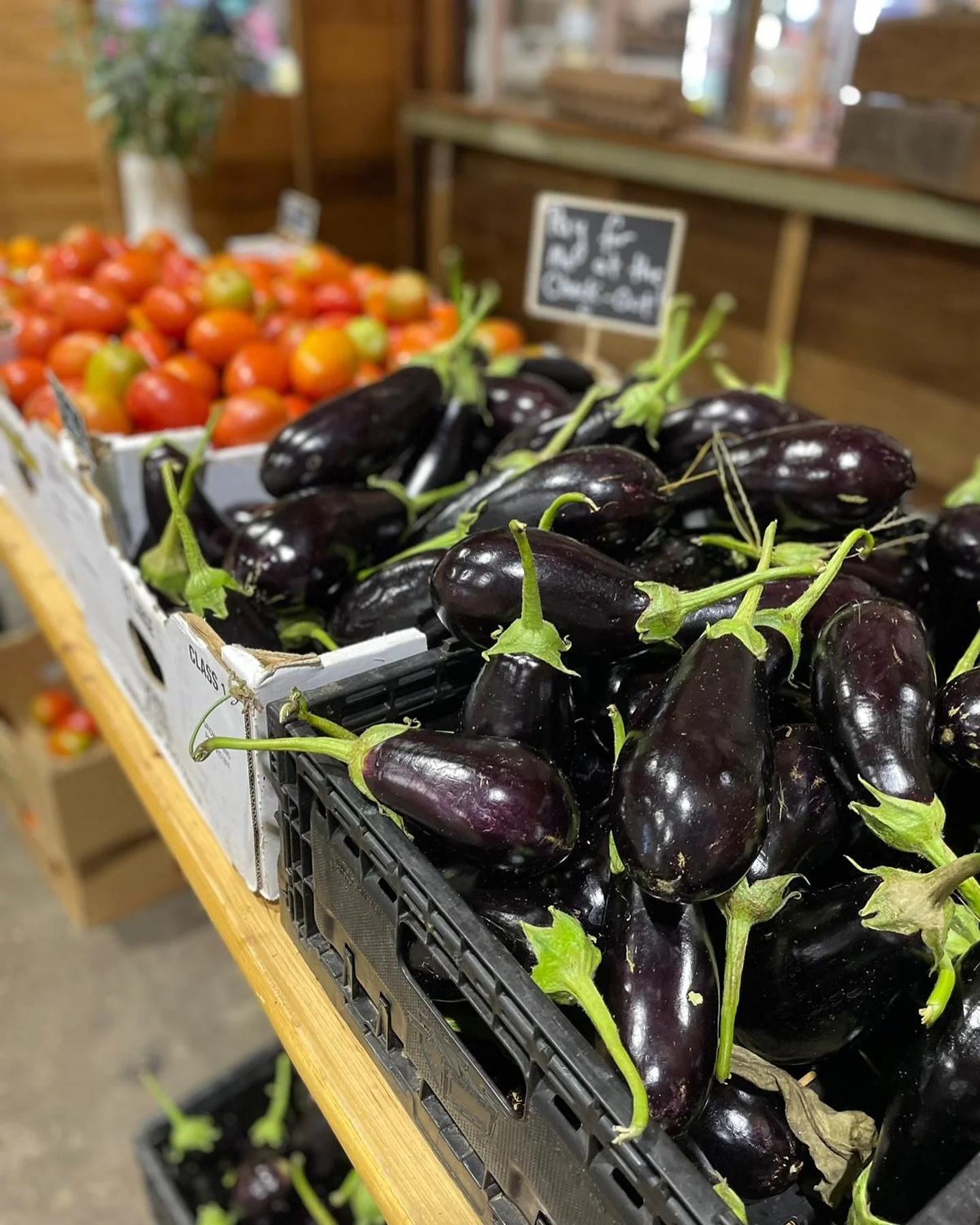 Plenty of eggplants, tomatoes, persimmons and mandarins available tomorrow for market day! @jafarichambaz.  #growershub #marketday #farmersmarket #saturday #saturdaymarkets #visitwagga #wagga #riverina #freshproduce #supportlocal #supportlocalfarmers