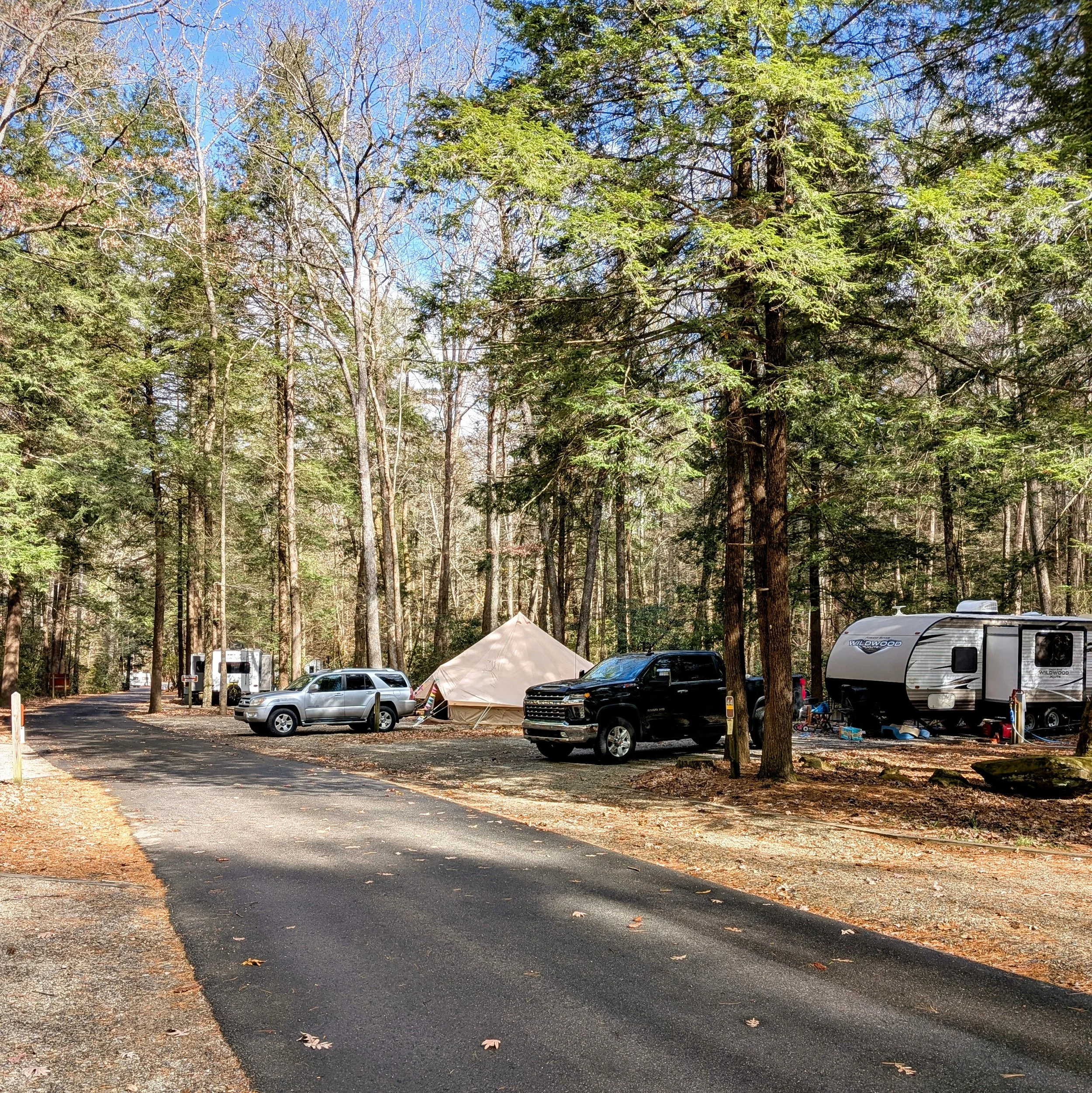 A campsite at Vogel State Park in a wooded area with temperate trees, camping vehicles, and a white bell tent under a clear blue sky.