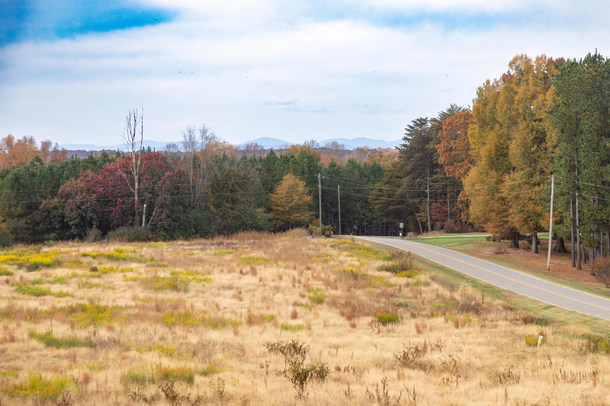 309 Sain Rd_Mountain View.jpg