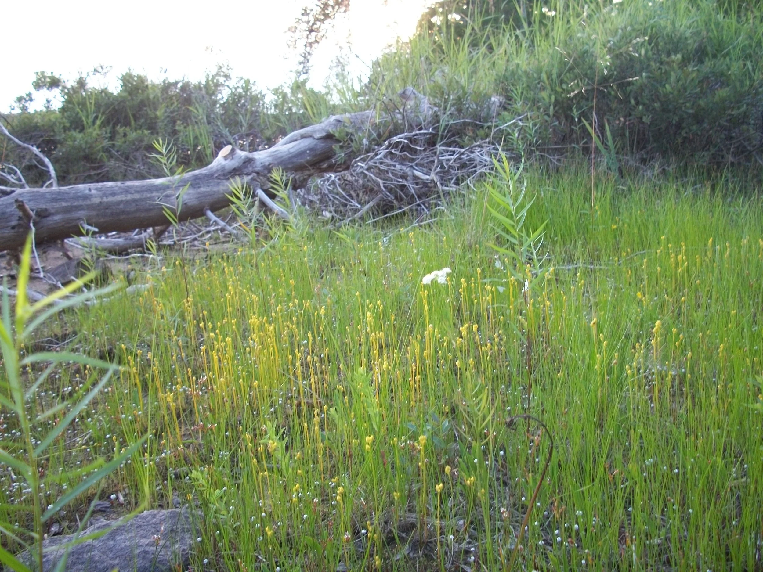 Boundary Waters Canoe Area Wilderness 2019