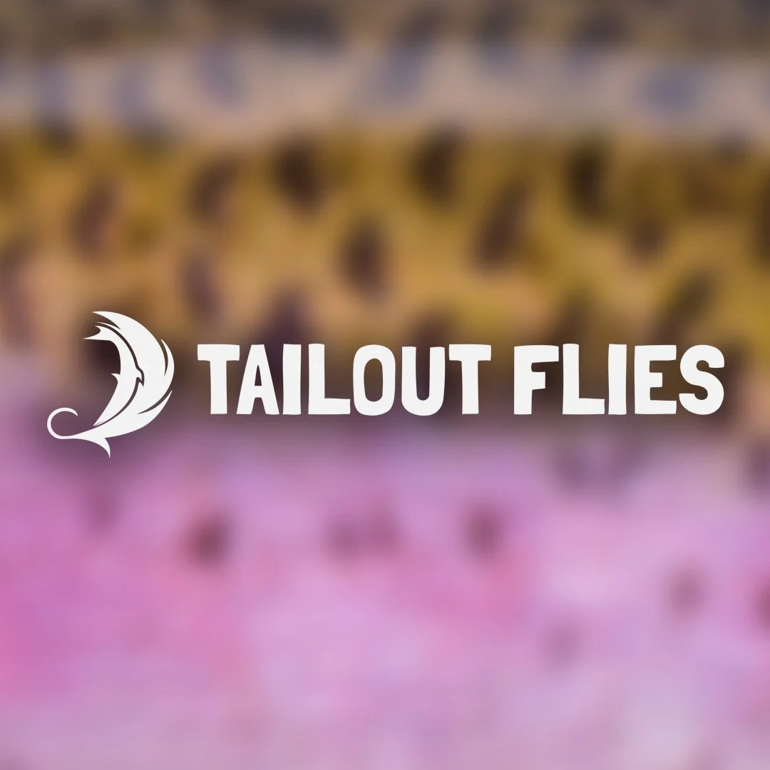 Tailout 3III.jpg