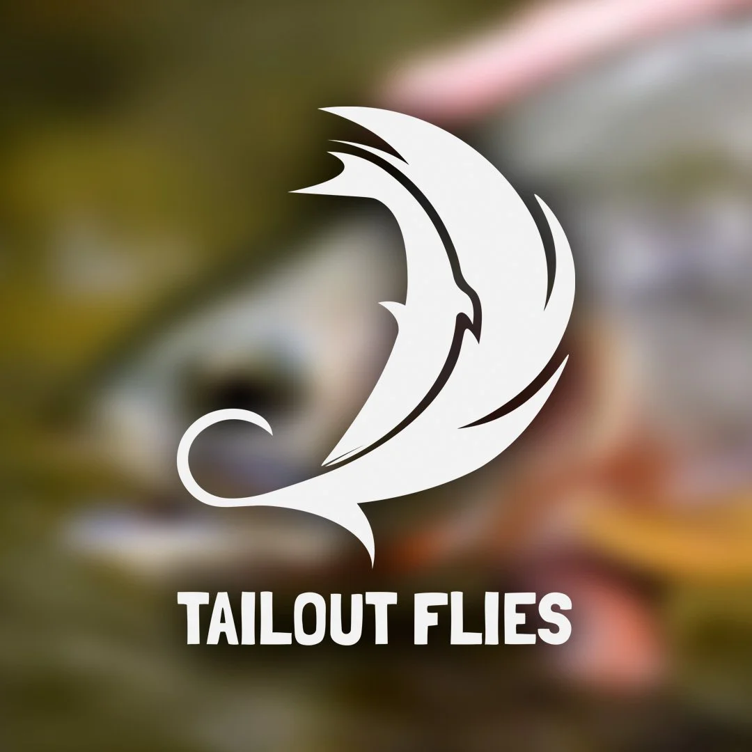 Tailout 1II.jpg