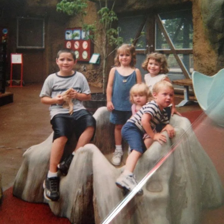 Five children are playing at Zoo Knoxville on a large indoor play structure that resembles a rock or mountain. The children are smiling and appear to be having fun. The background includes windows, a wooden wall, and some exhibit displays.