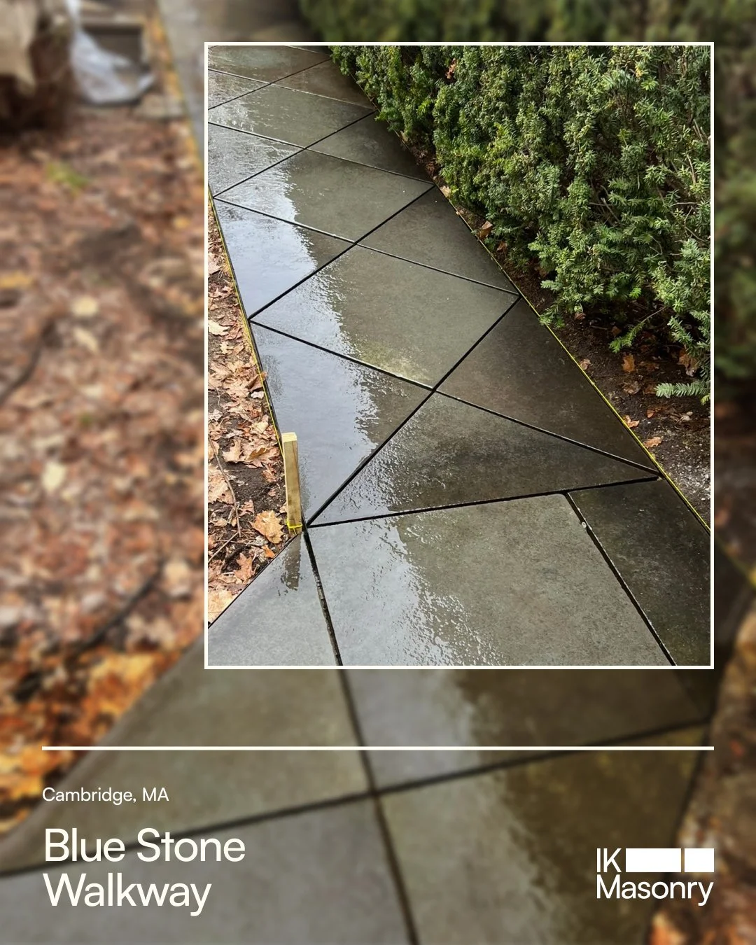 Wet concrete sidewalk with black expansion joints, bordered by a hedge on one side and mulch on the other, with a yellow plastic barrier at the corner.