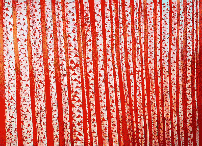 White Poplar Trunks  48” x 36” x 1”  Acrylic On Canvas