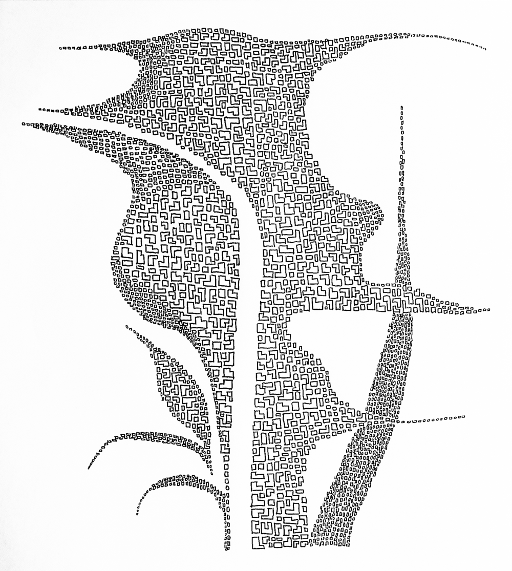 Duckweed  [ 12” x 8.5”  Ink Pen on Sketch Paper]