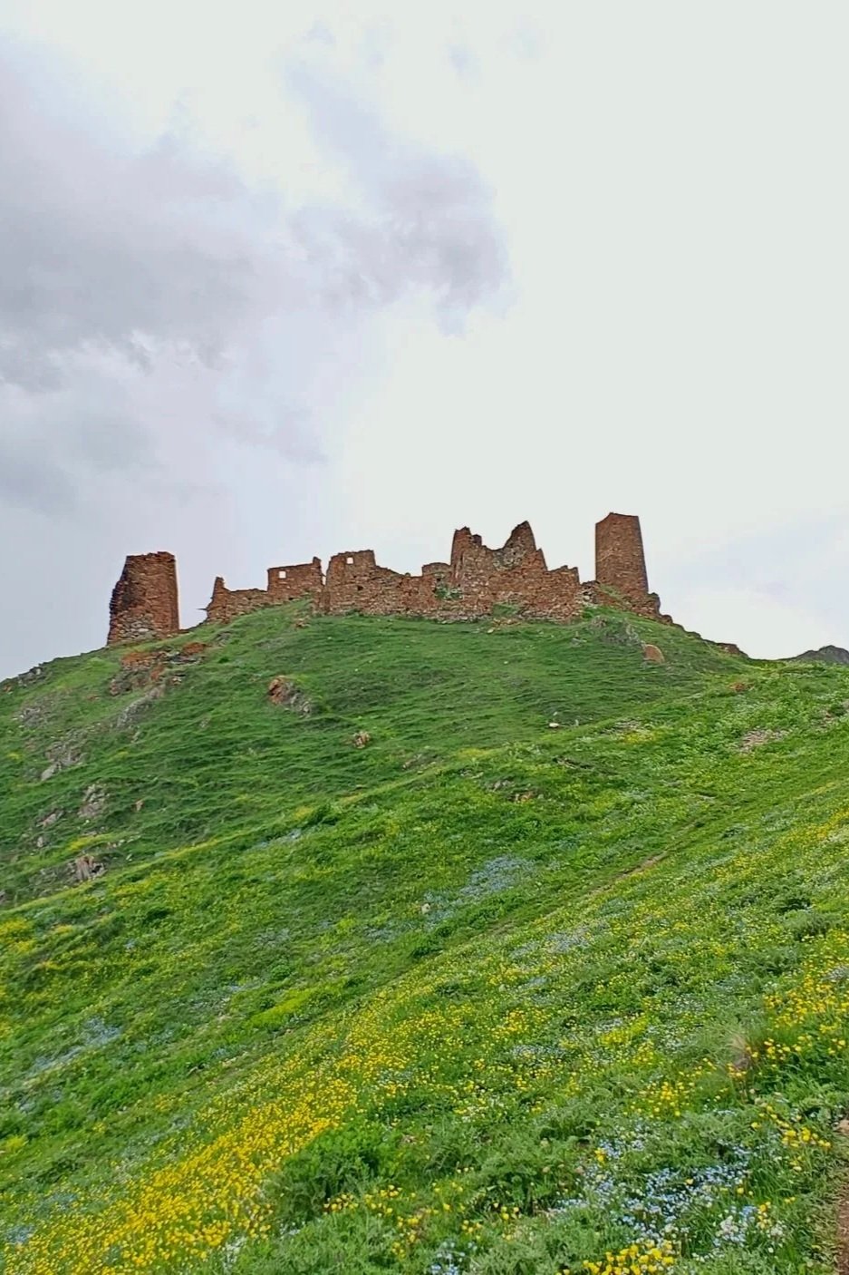 Ruins of an ancient stone castle on a lush green hillside with yellow and blue flowers, under a cloudy sky.
