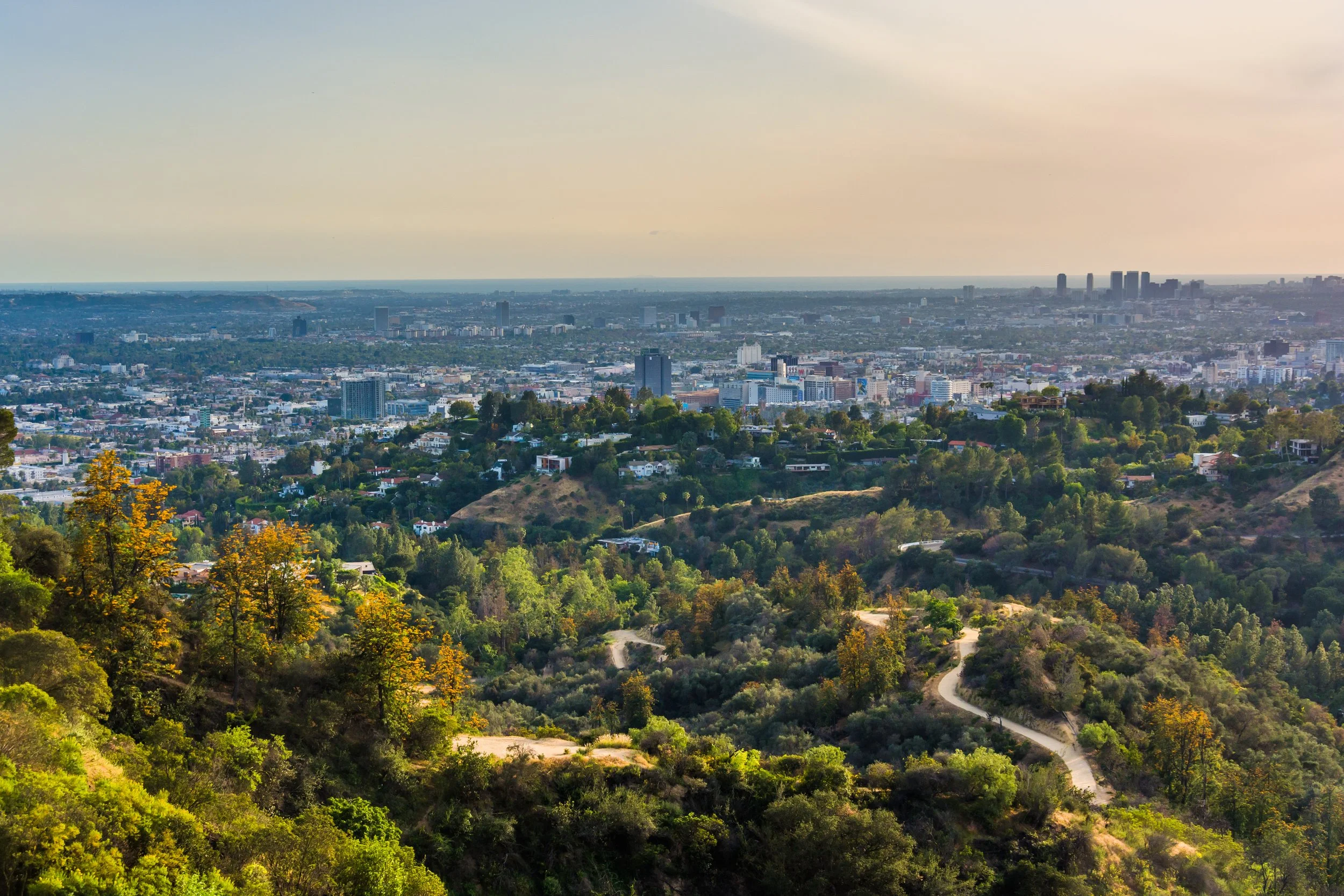 griffith_park.0.0.jpg