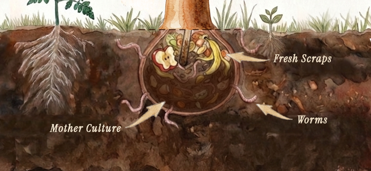 Culture diagram