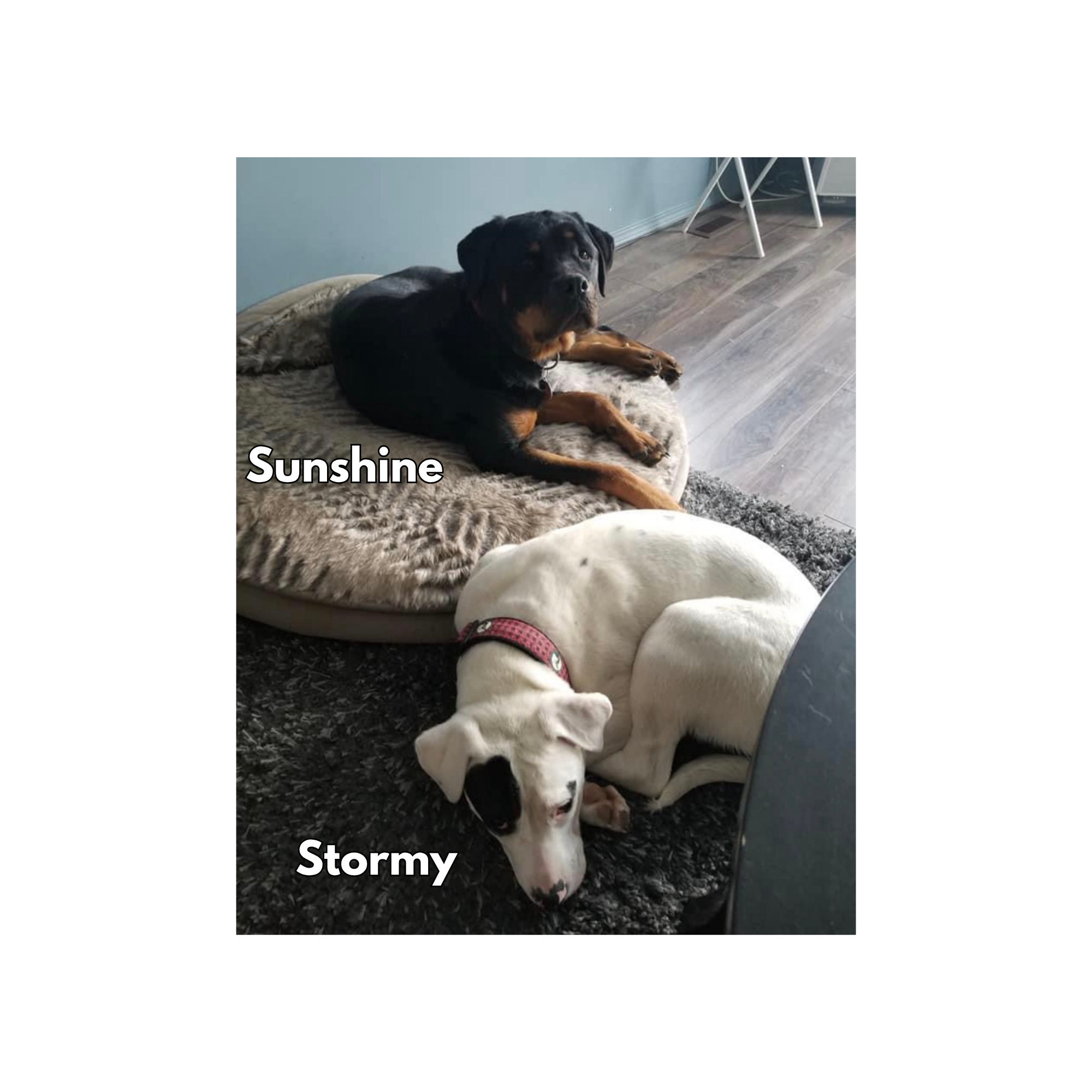 Sunshine & Stormy