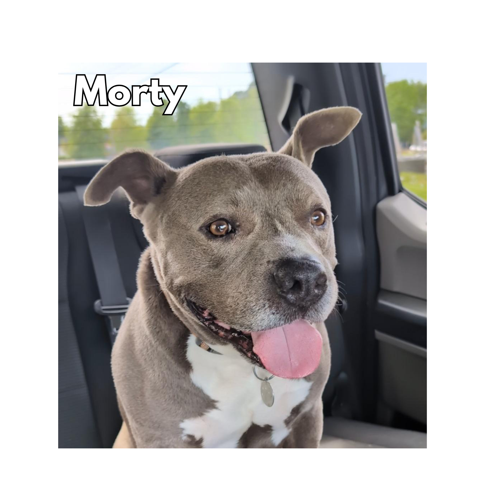 Morty