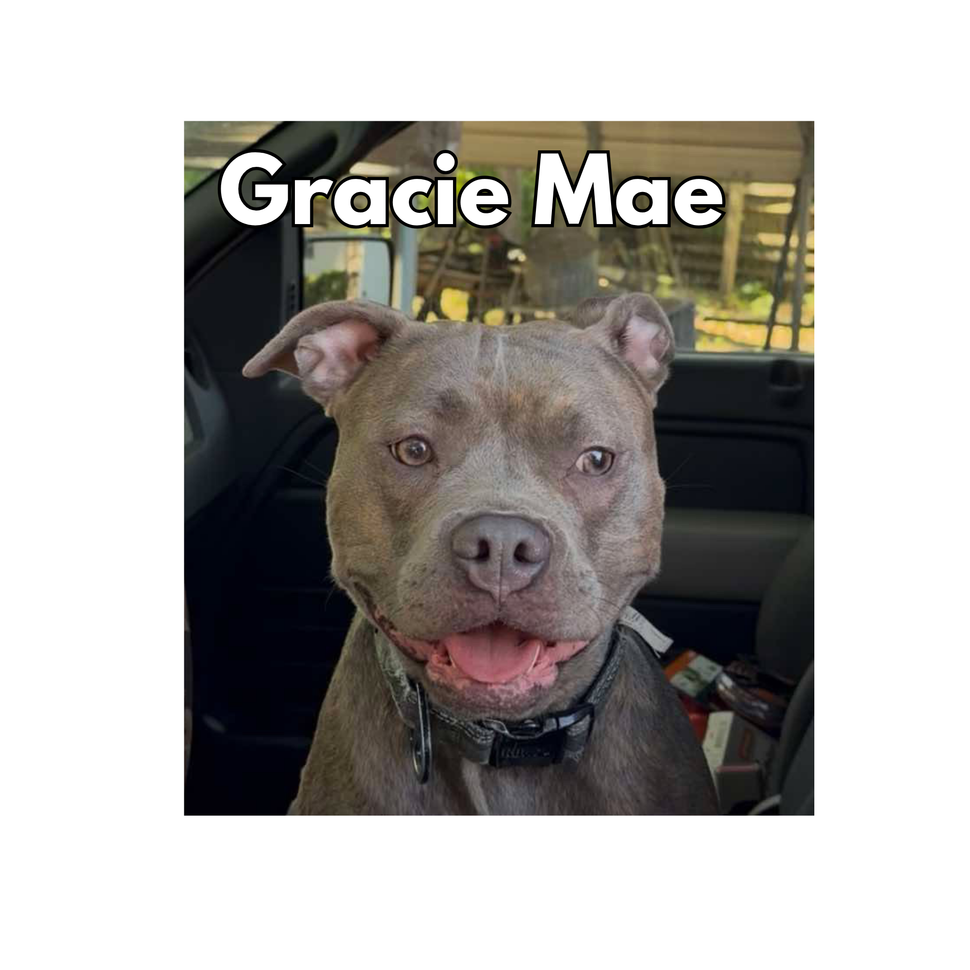 Gracie Mae