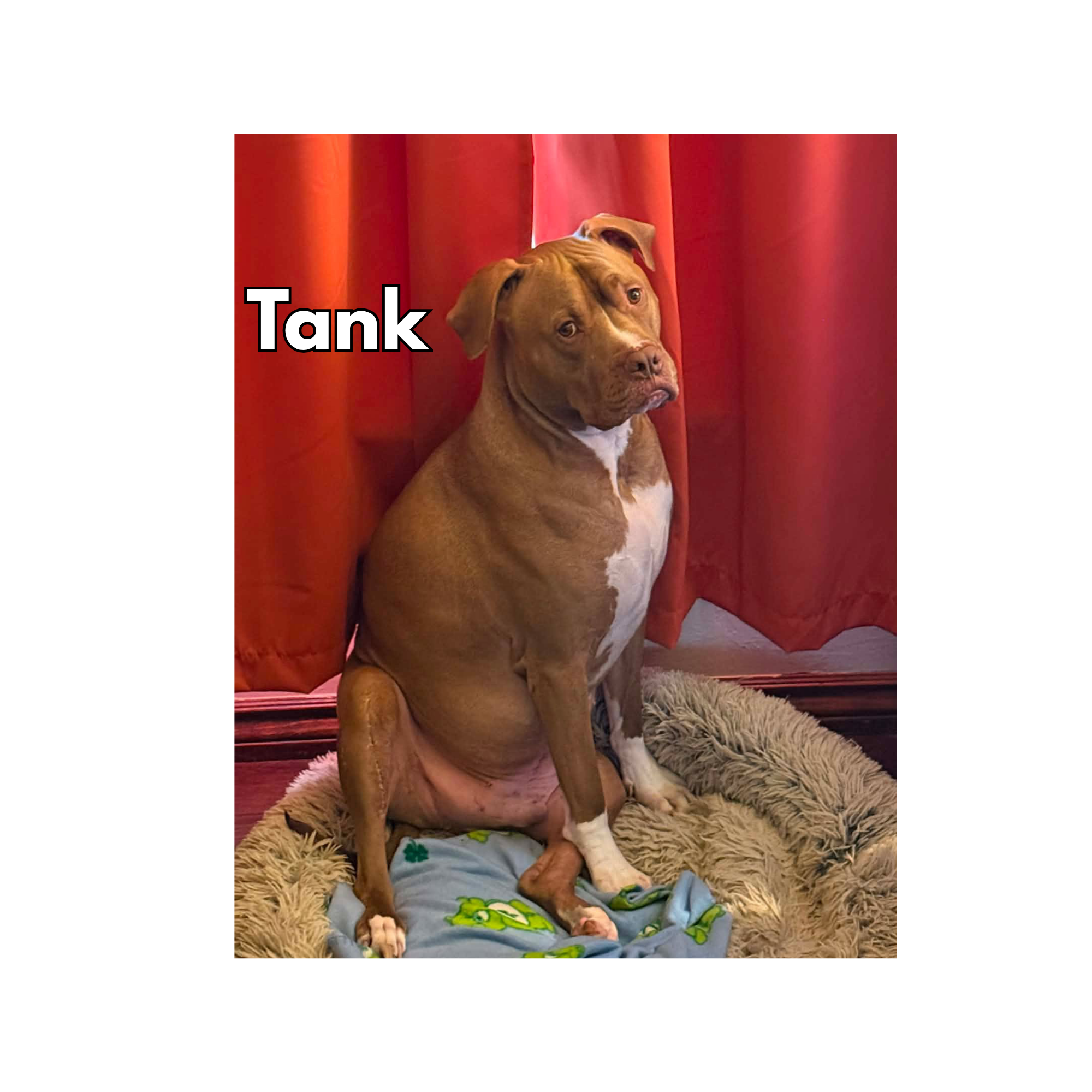 Tank