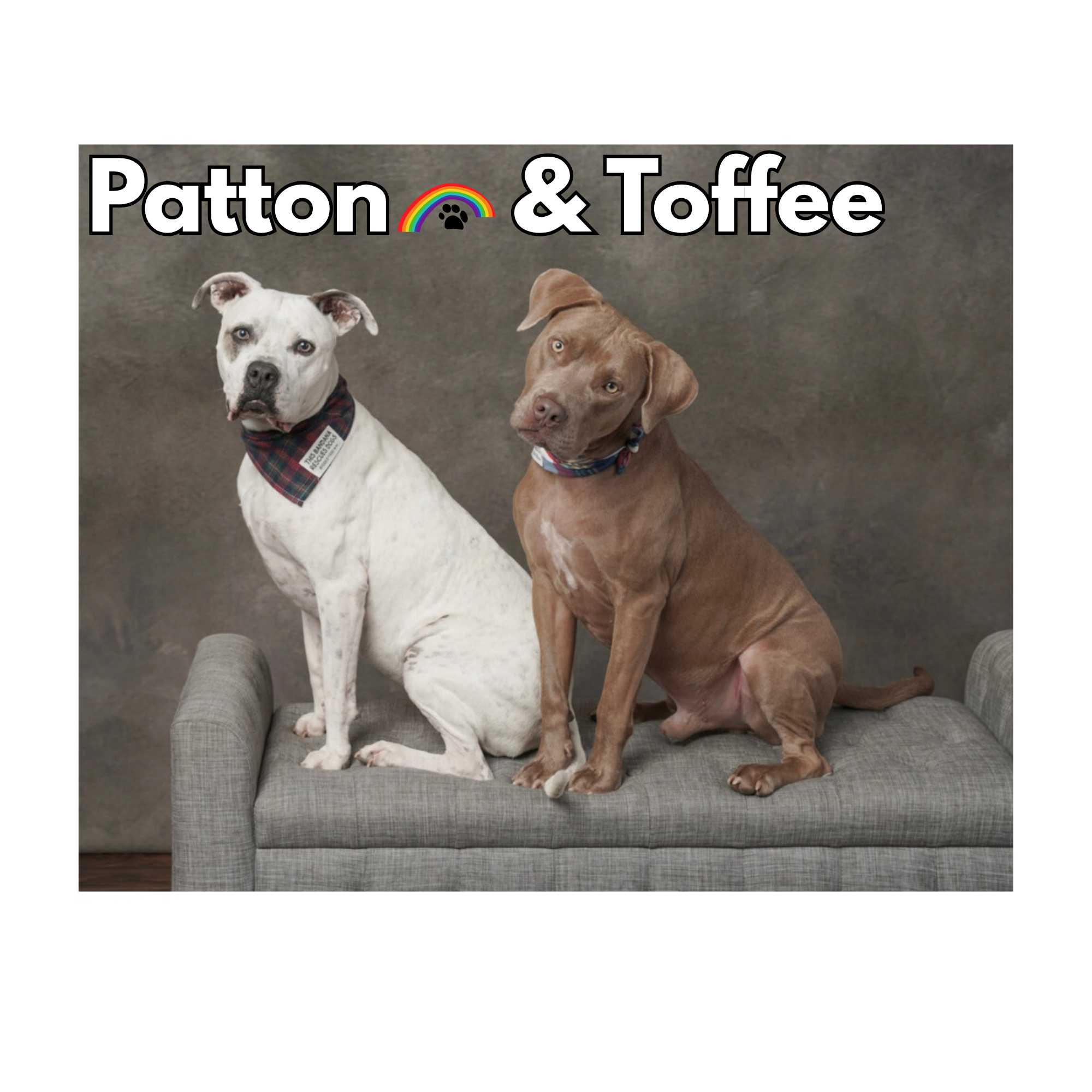 Patton & Toffee