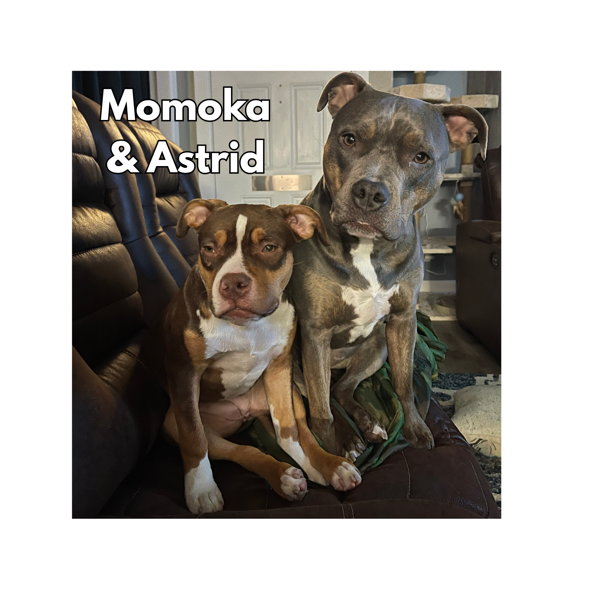 Momoka & Astrid 