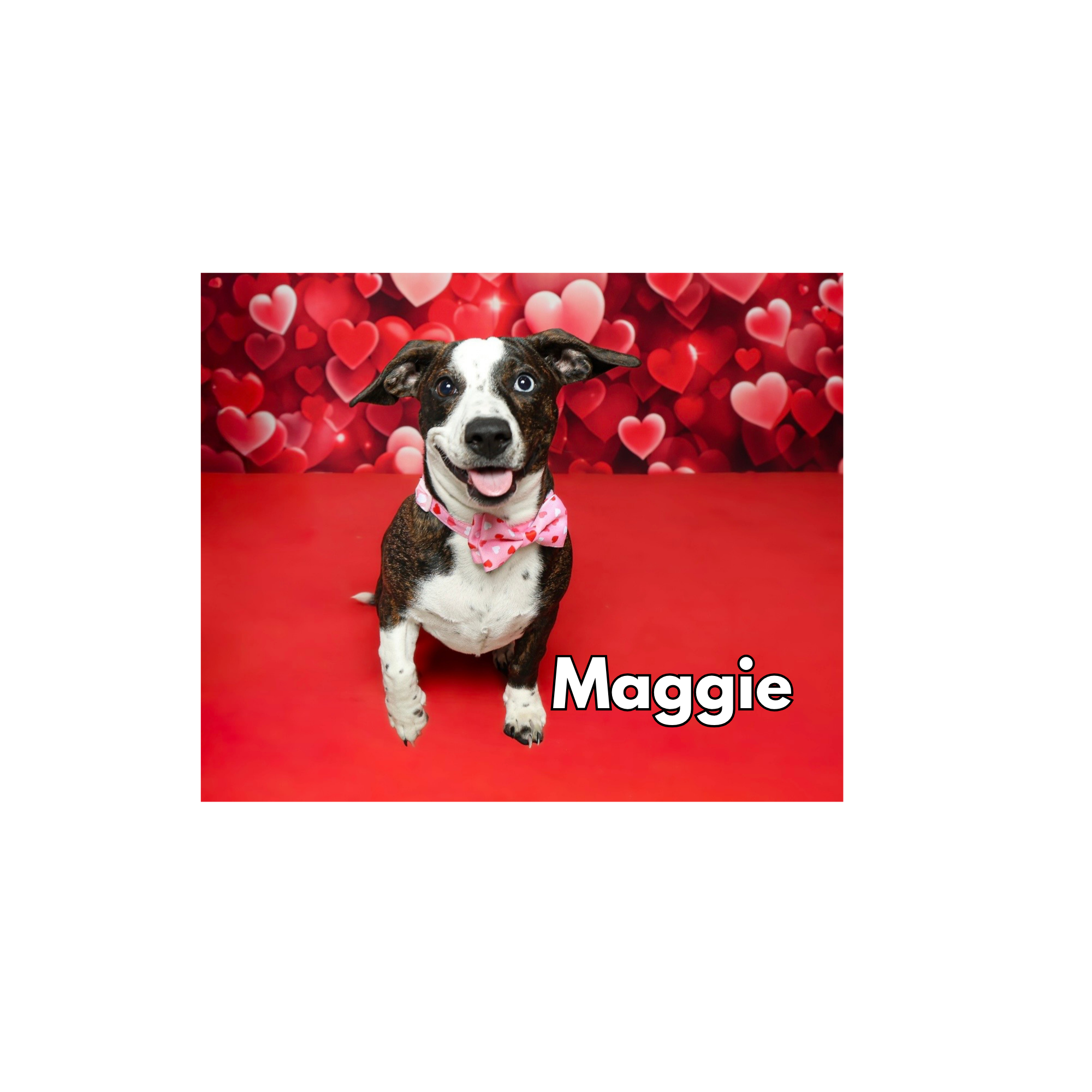 Maggie