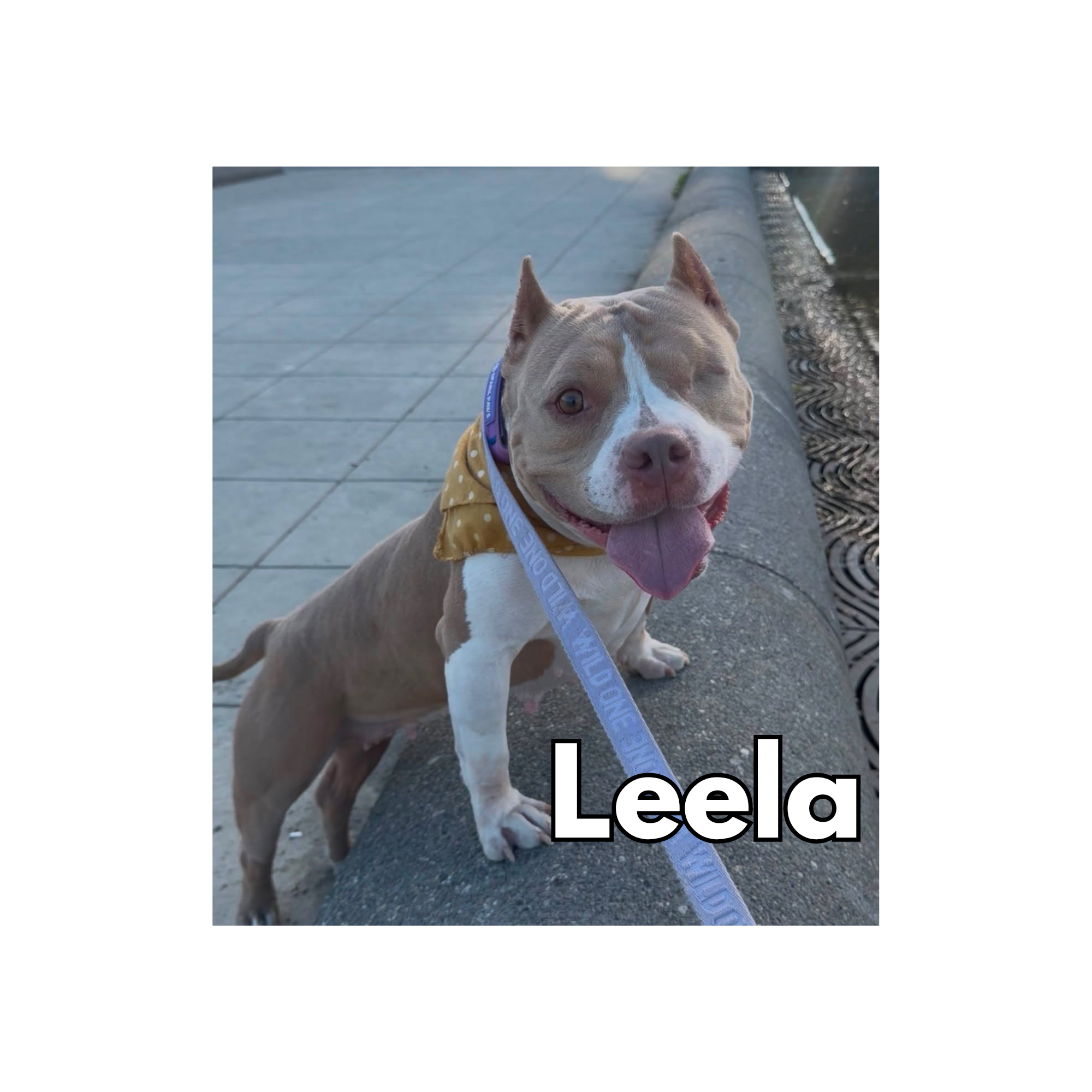 Leela