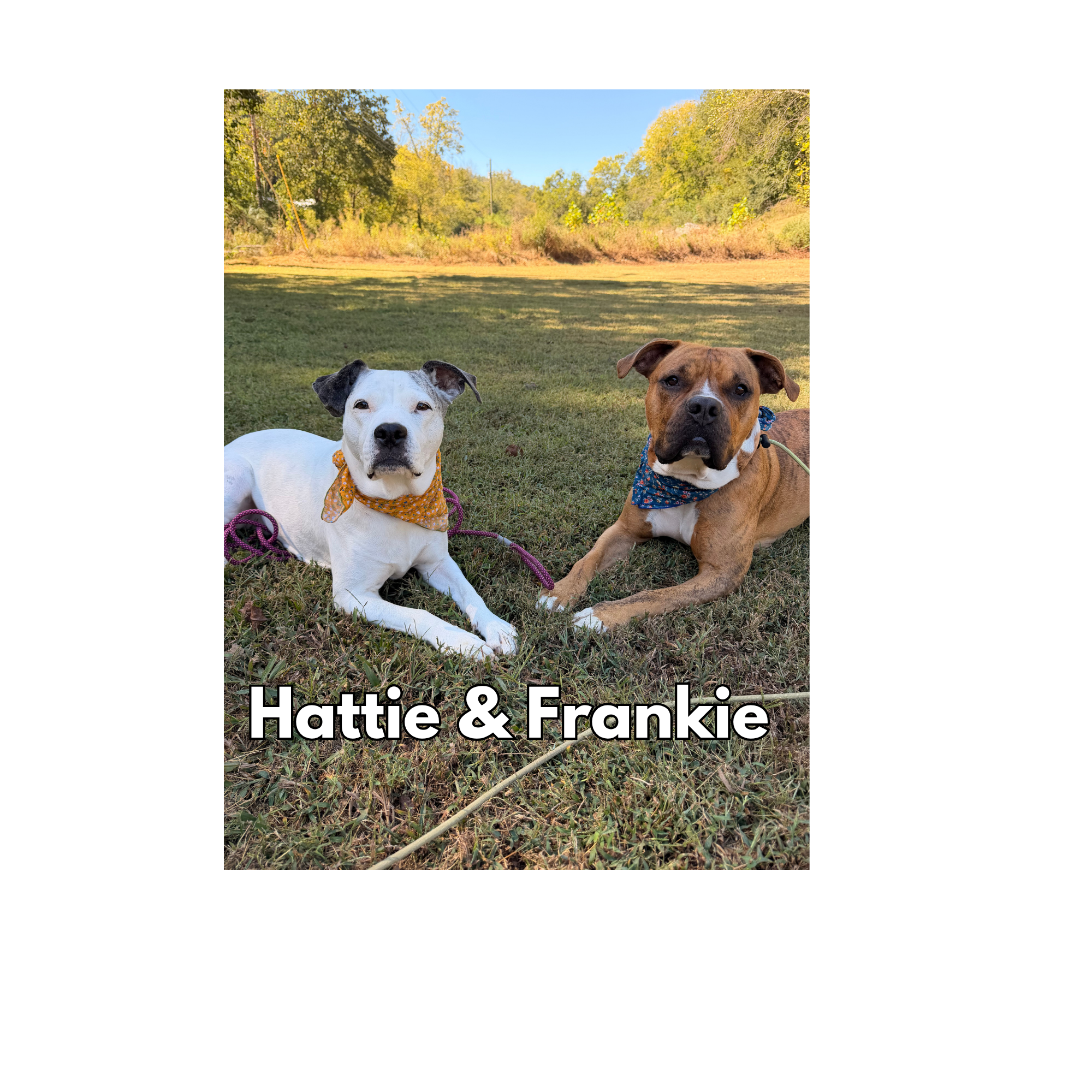 Hattie & Frankie