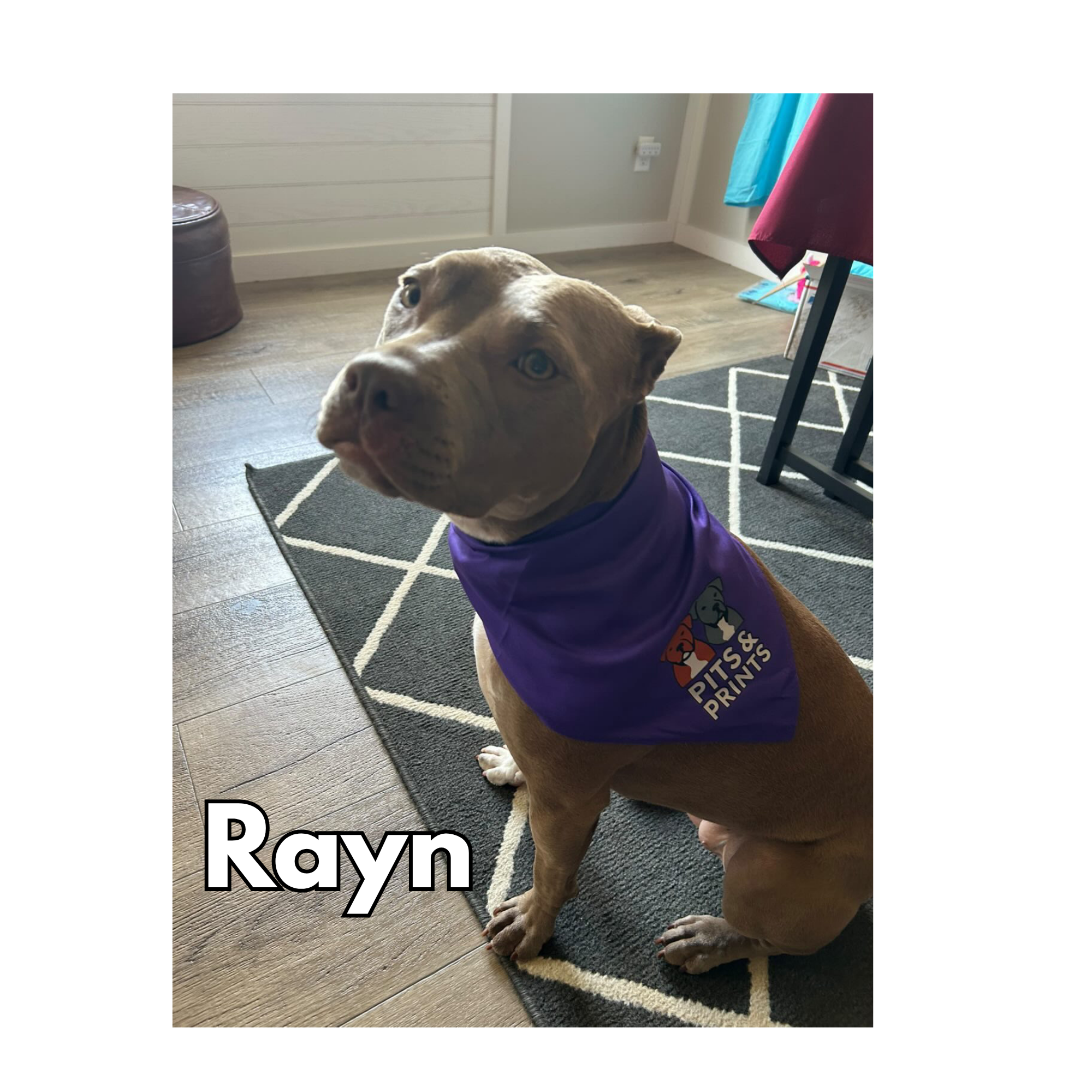 Rayn