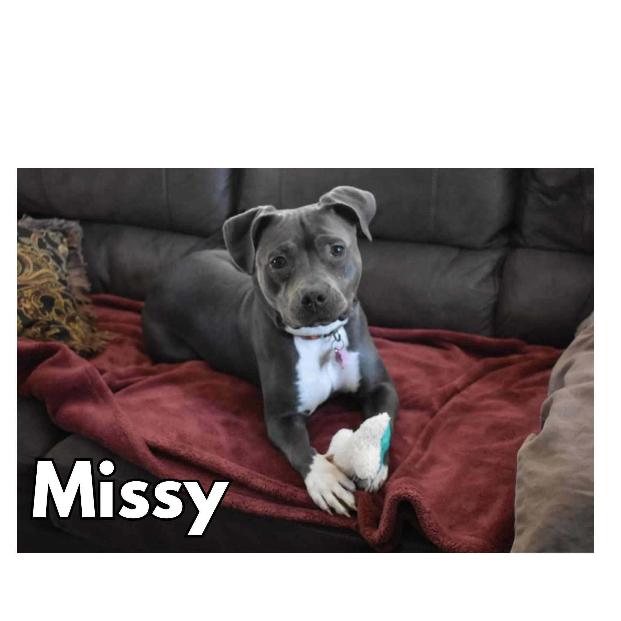 Missy