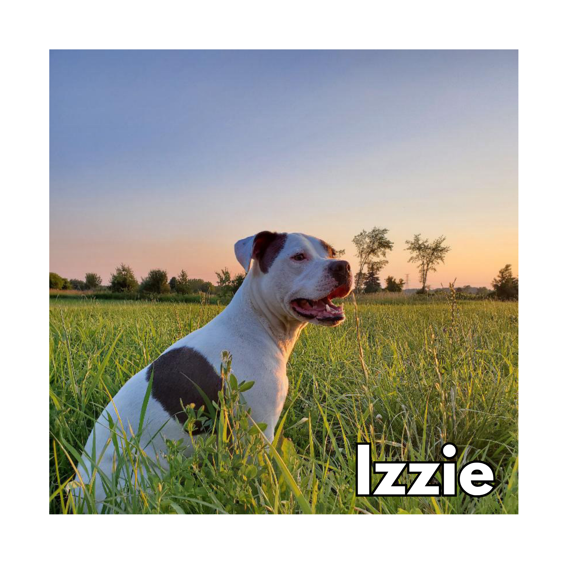 Izzie