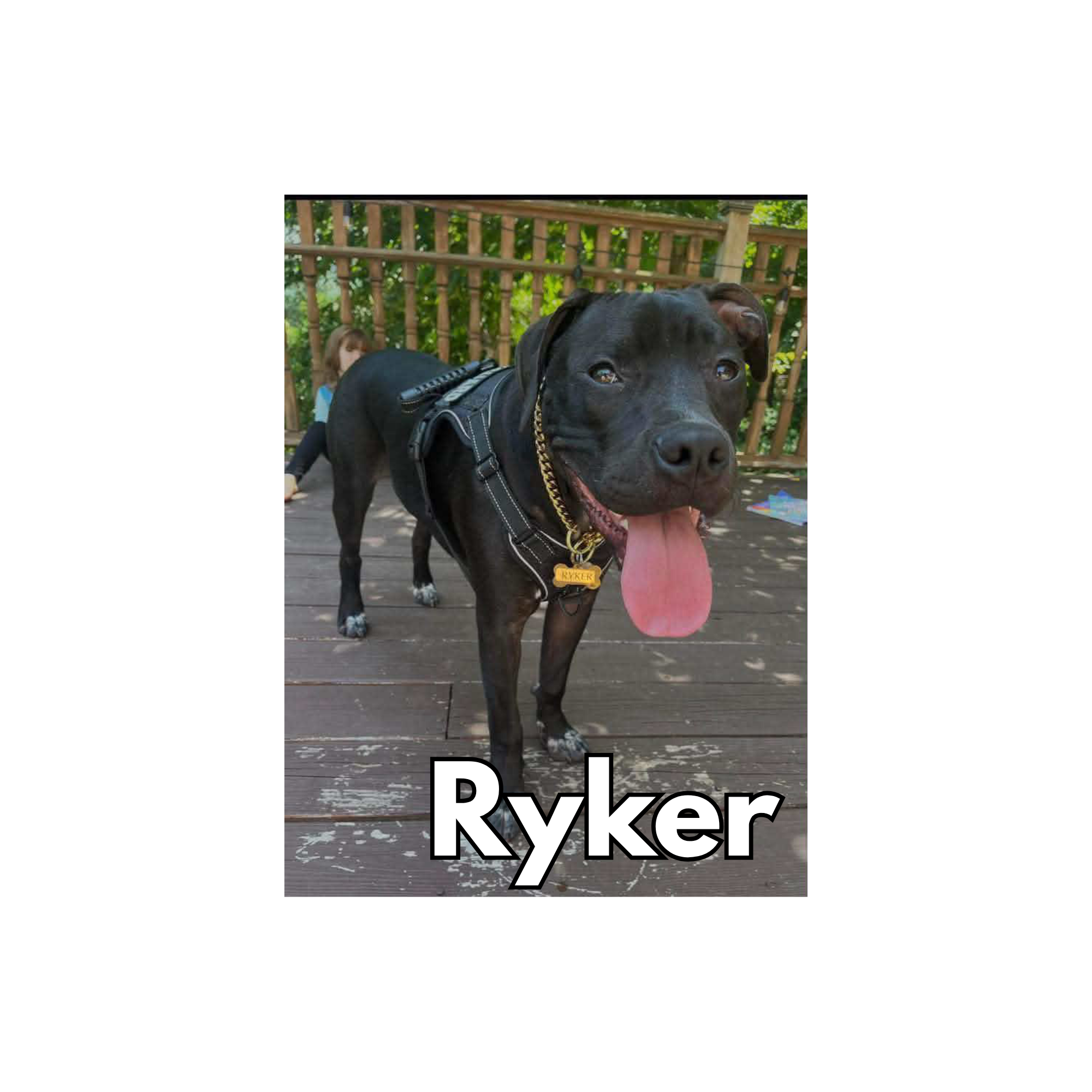Ryker
