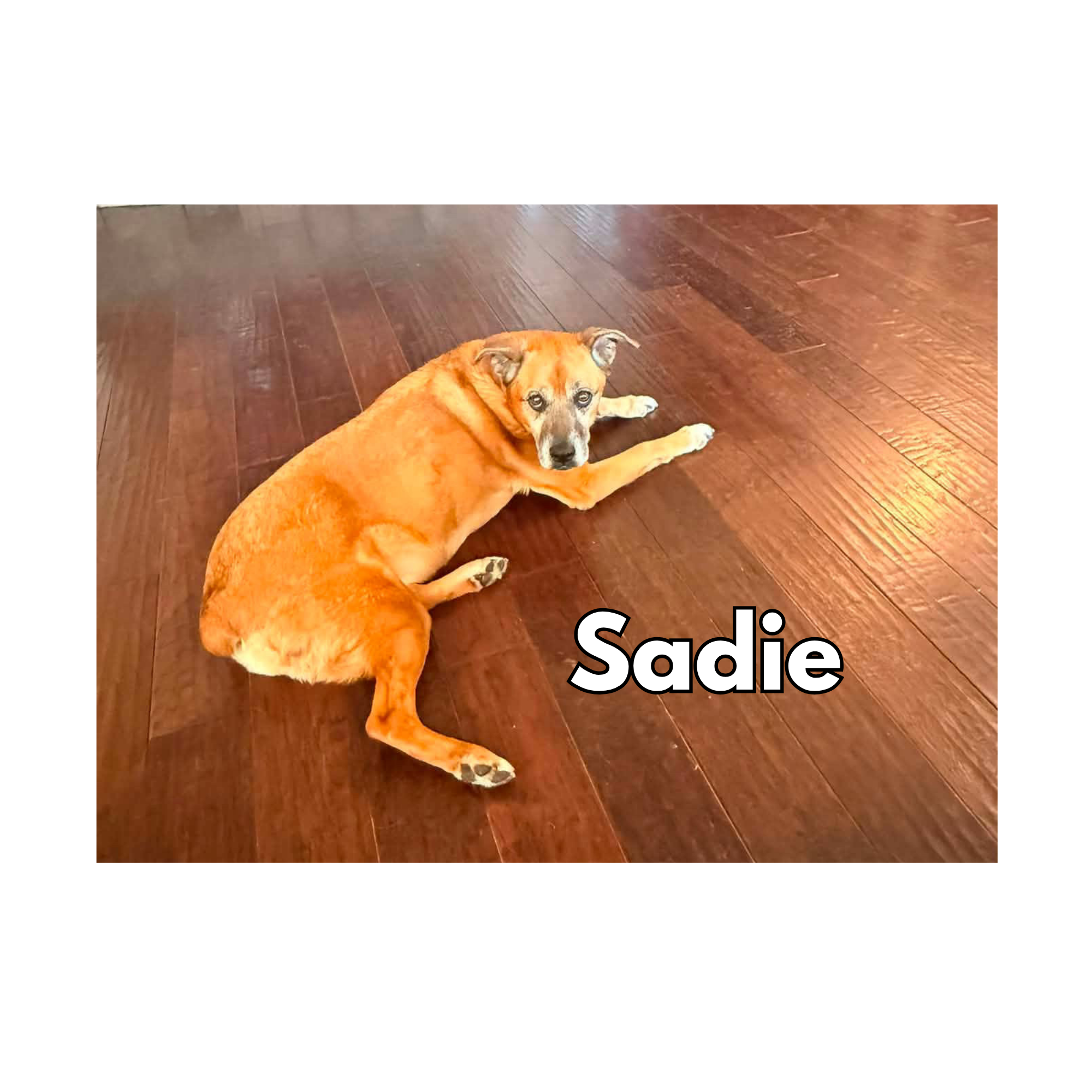 Sadie