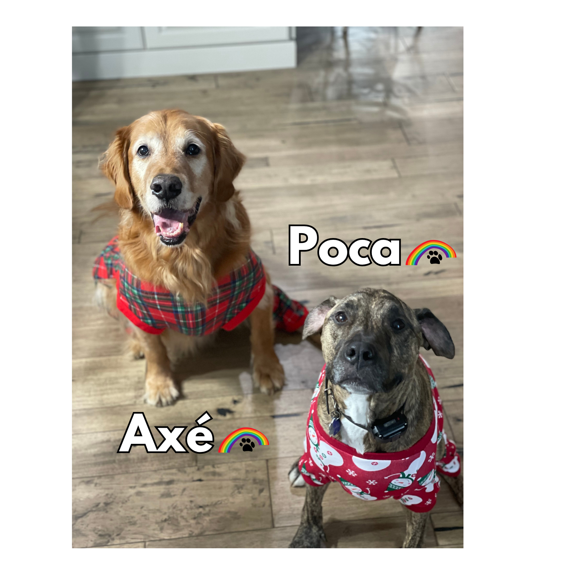 Axé & Poca