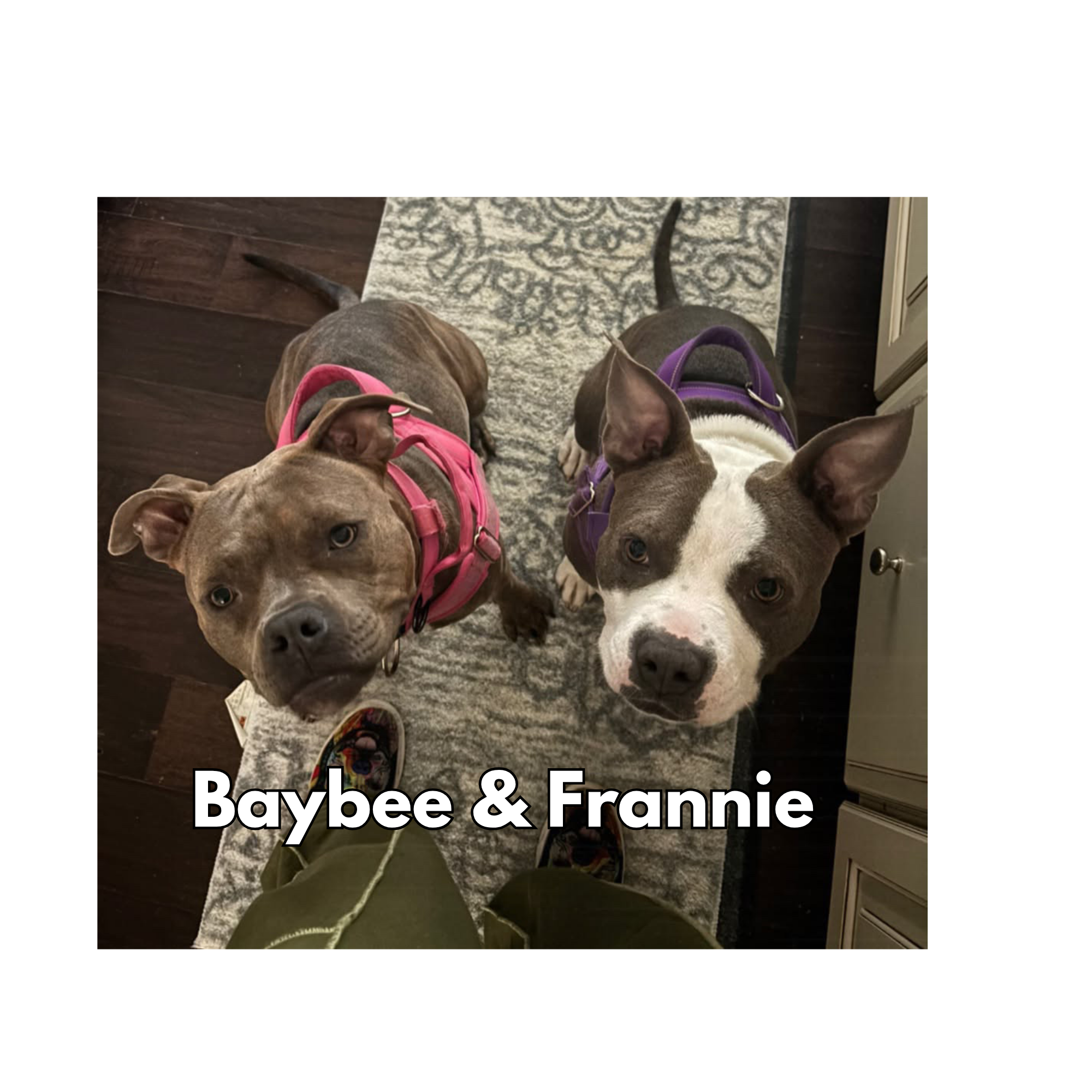 Baybee & Frannie