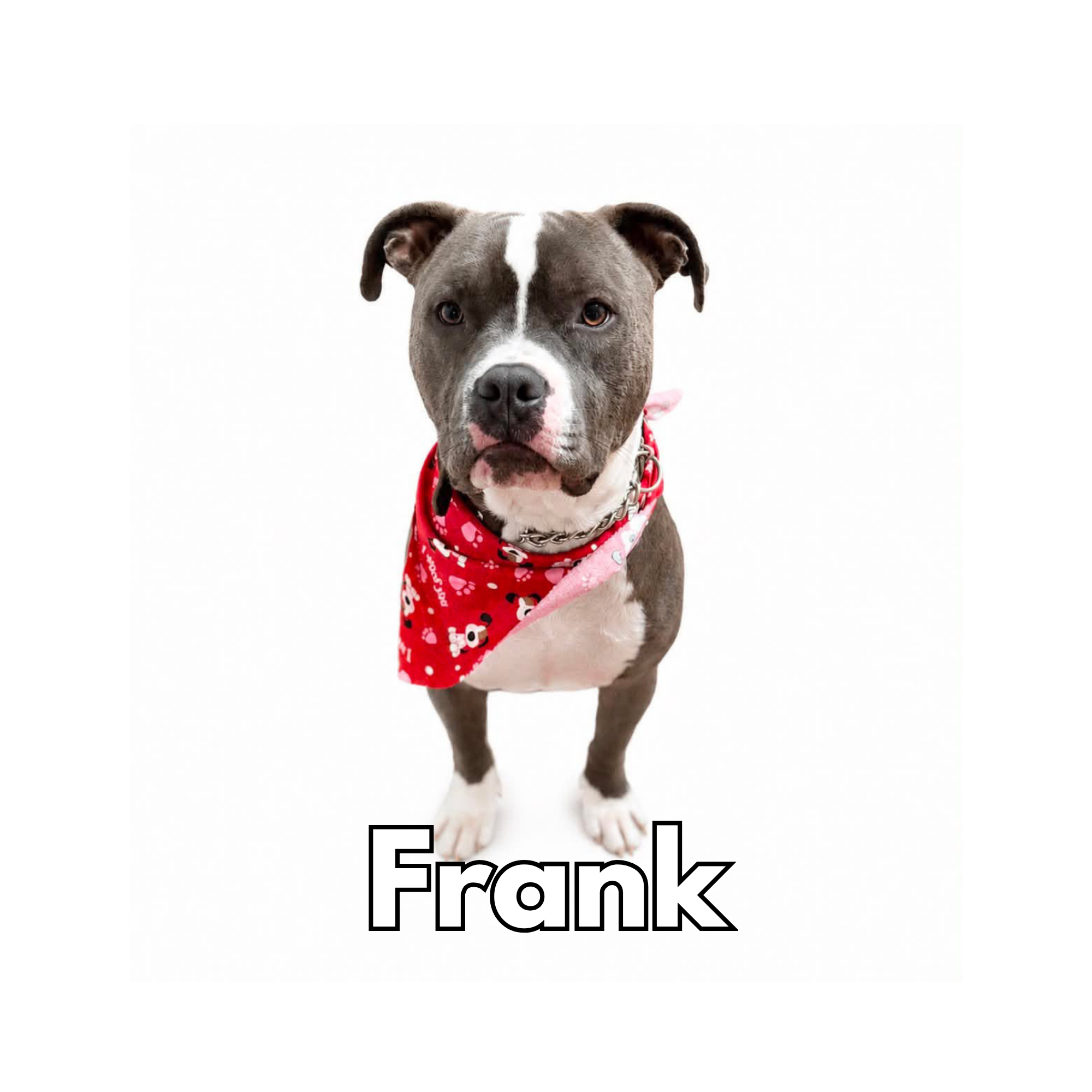 Frank