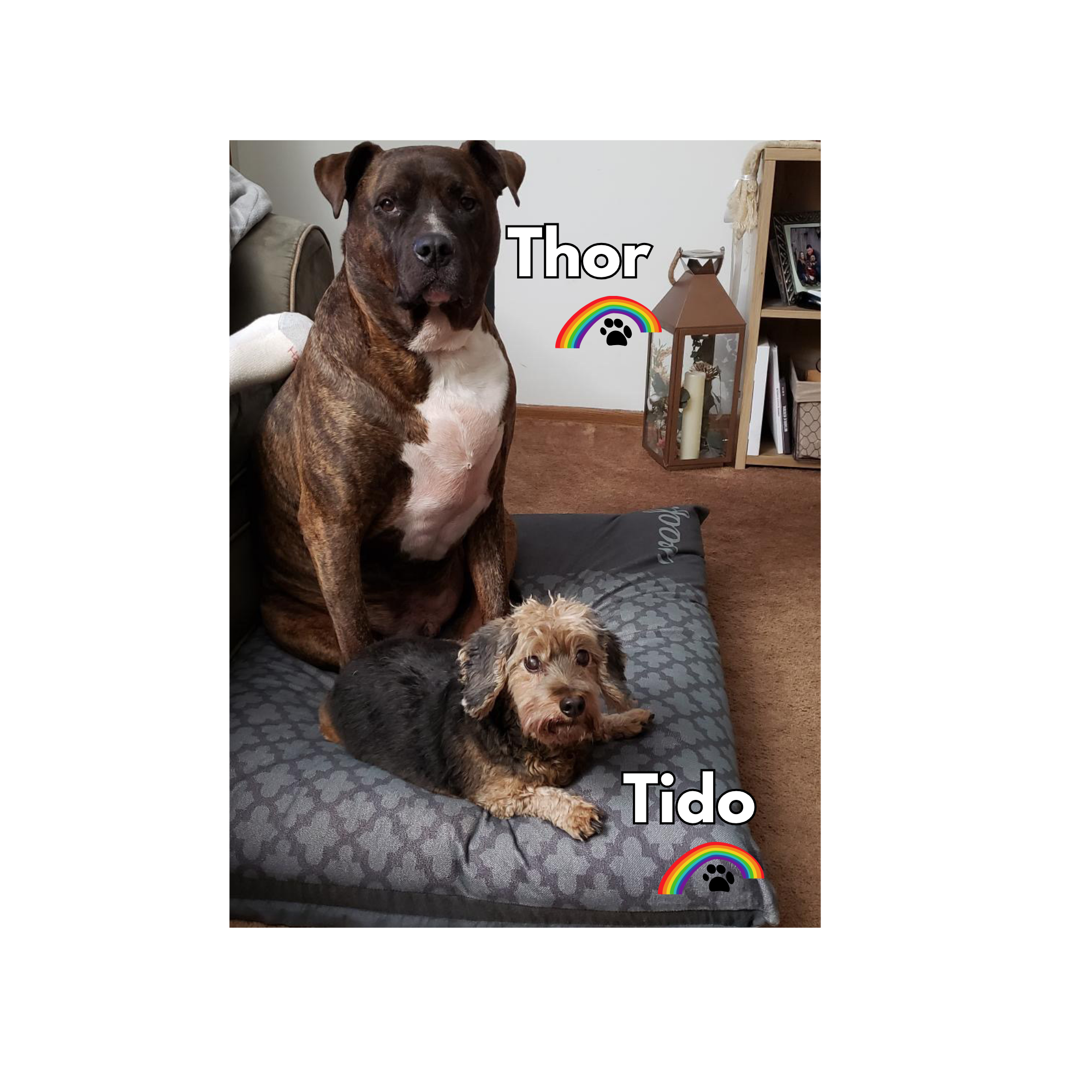 Thor & Tido