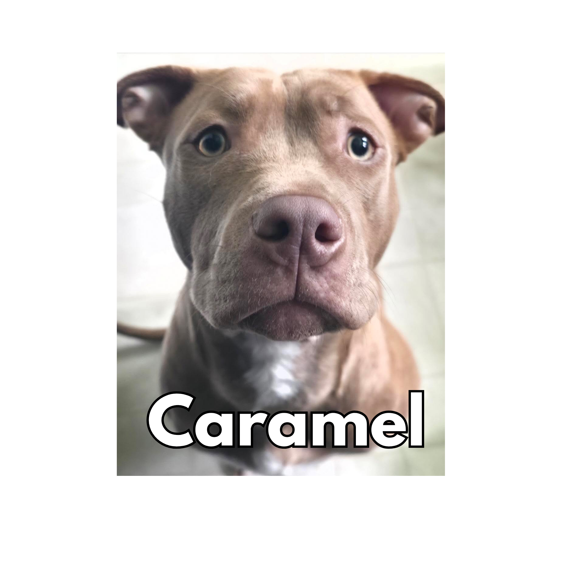 Caramel